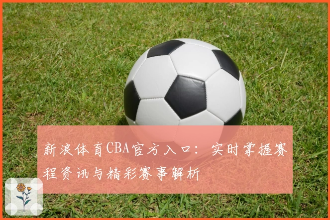 新浪体育CBA官方入口：实时掌握赛程资讯与精彩赛事解析