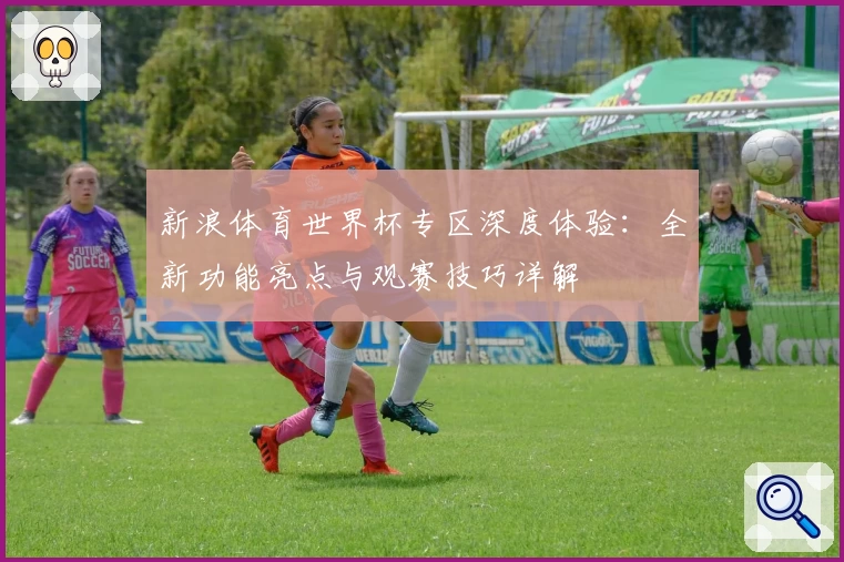 新浪体育世界杯专区深度体验：全新功能亮点与观赛技巧详解