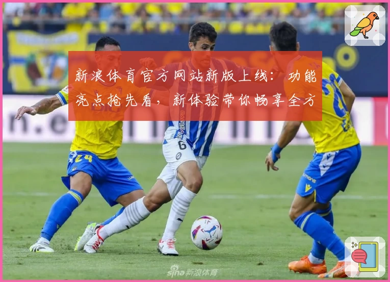 新浪体育官方网站新版上线：功能亮点抢先看，新体验带你畅享全方位赛事资讯