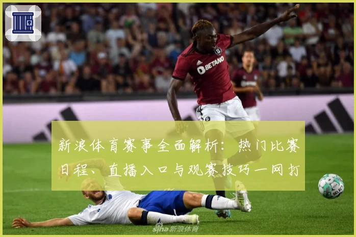 新浪体育赛事全面解析：热门比赛日程、直播入口与观赛技巧一网打尽