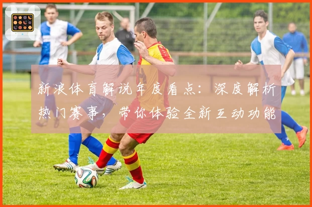 新浪体育解说年度看点：深度解析热门赛事，带你体验全新互动功能与精彩评论