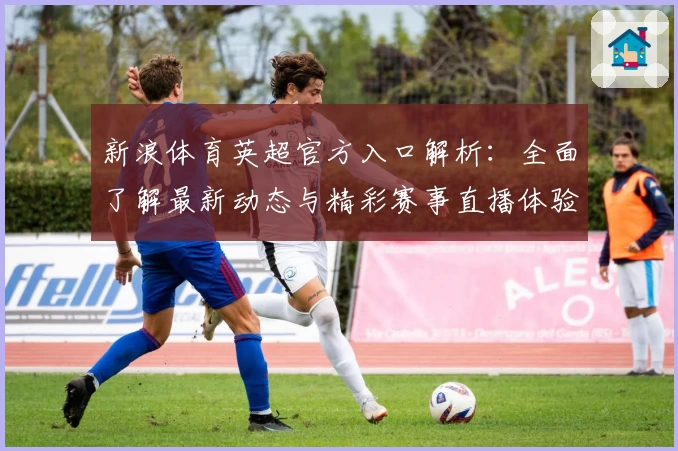 新浪体育英超官方入口解析：全面了解最新动态与精彩赛事直播体验