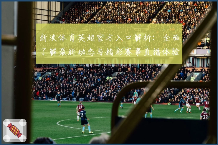 新浪体育英超官方入口解析：全面了解最新动态与精彩赛事直播体验