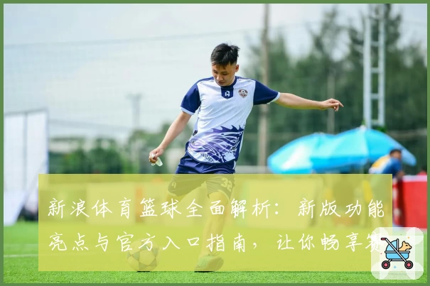 新浪体育篮球全面解析：新版功能亮点与官方入口指南，让你畅享赛事精彩