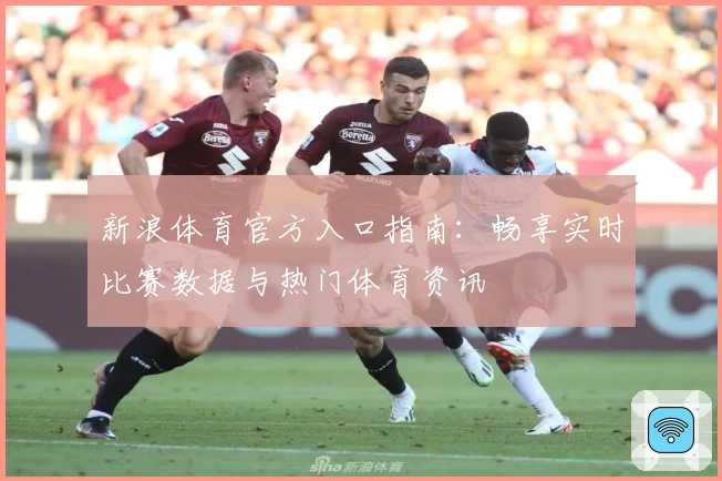 新浪体育官方入口指南:畅享实时比赛数据与热门体育资讯