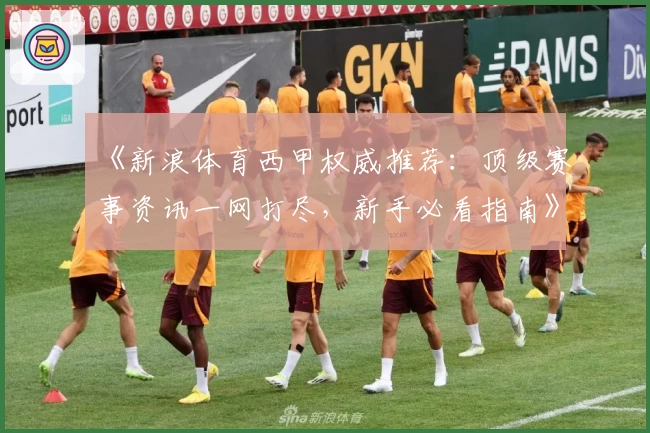 《新浪体育西甲权威推荐:顶级赛事资讯一网打尽,新手必看指南》