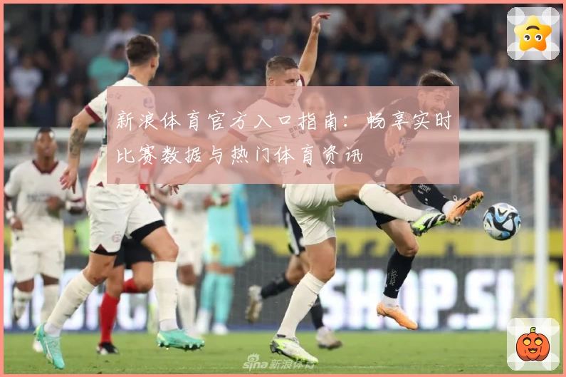 新浪体育官方入口指南：畅享实时比赛数据与热门体育资讯