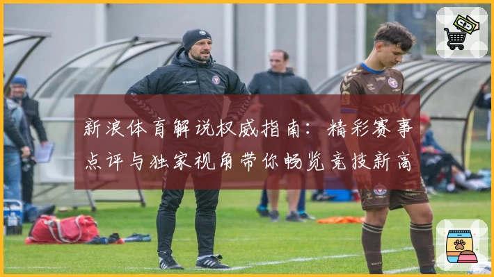 新浪体育解说权威指南:精彩赛事点评与独家视角带你畅览竞技新高度