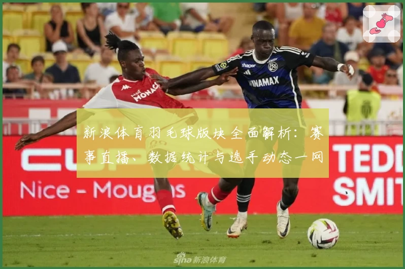 新浪体育羽毛球版块全面解析：赛事直播、数据统计与选手动态一网打尽