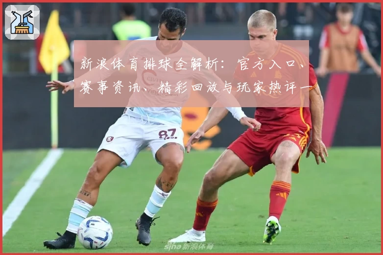 新浪体育排球全解析：官方入口、赛事资讯、精彩回放与玩家热评一站掌握